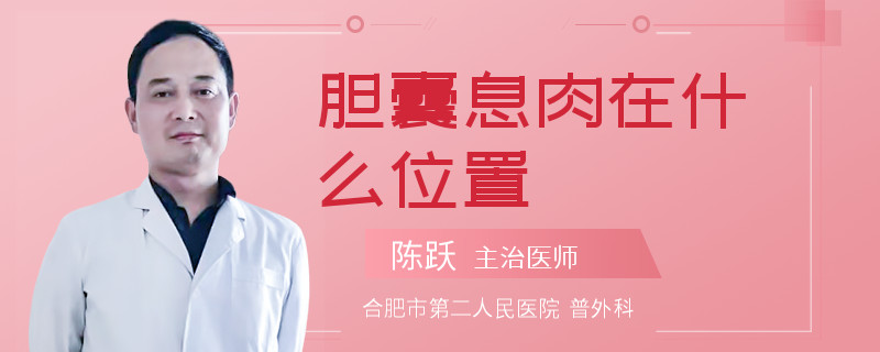 胆囊息肉在什么位置