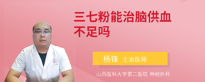 三七粉能治脑供血不足吗