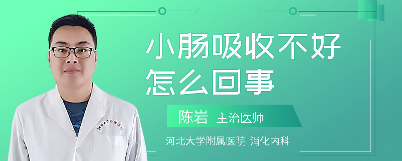 小肠吸收不好怎么回事