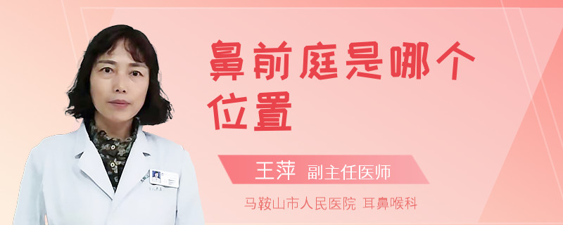 鼻前庭是哪个位置