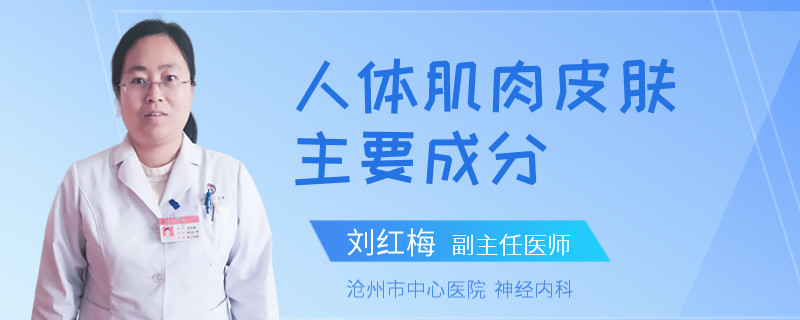 人体肌肉皮肤主要成分