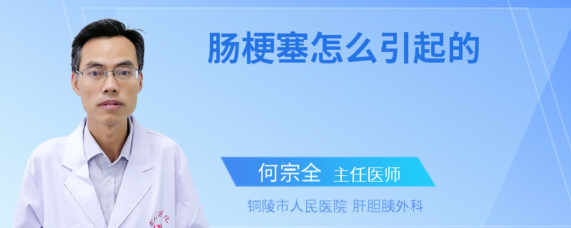 肠梗塞怎么引起的