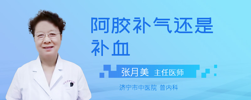 阿胶补气还是补血