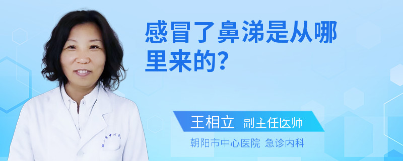 感冒了鼻涕是从哪里来的？