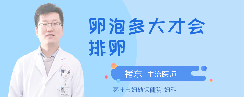 卵泡多大才会排卵