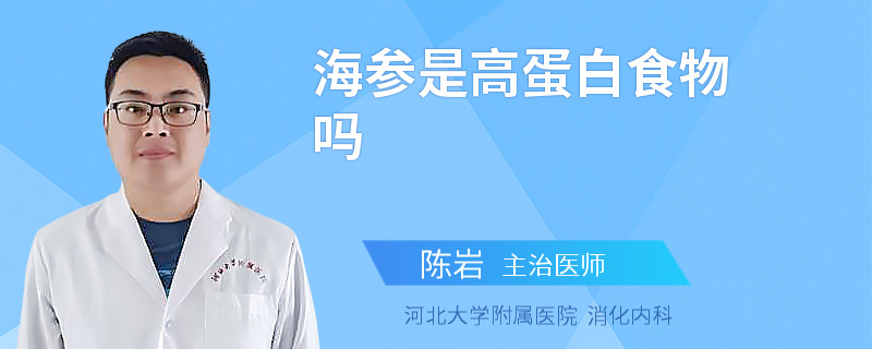 海参是高蛋白食物吗