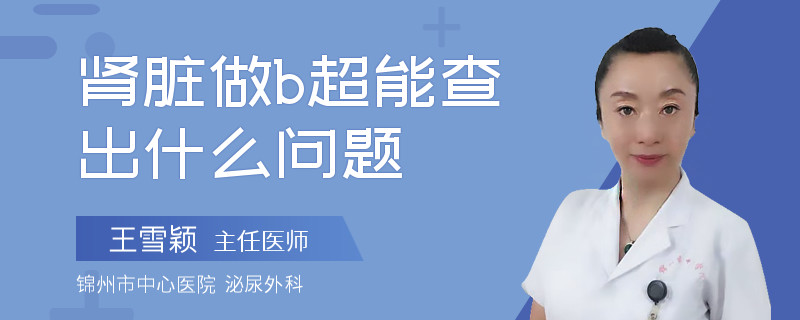 肾脏做b超能查出什么问题