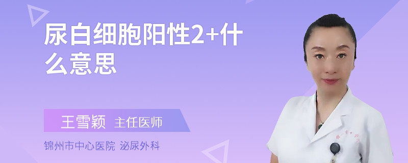 尿白细胞阳性2+什么意思