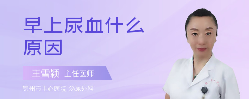 早上尿血什么原因