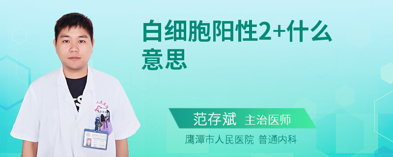 白细胞阳性2+什么意思