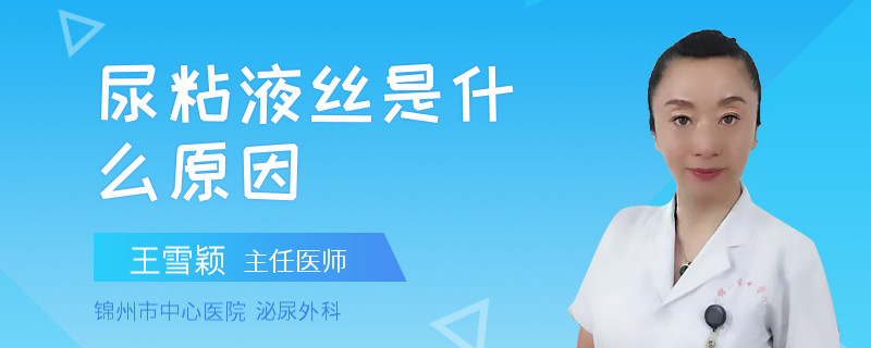 尿粘液丝是什么原因