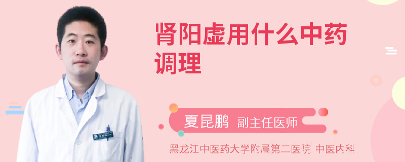 肾阳虚用什么中药调理