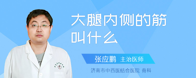 大腿内侧的筋叫什么