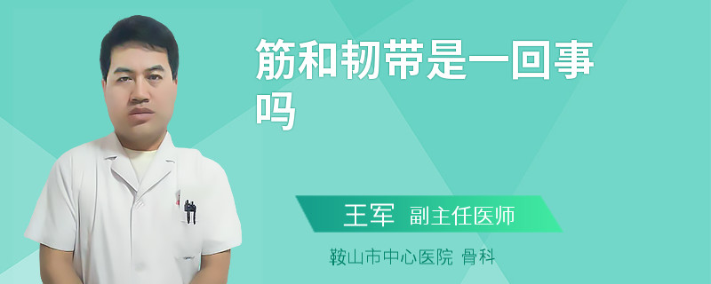 筋和韧带是一回事吗