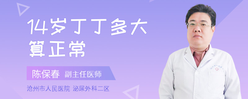 14岁丁丁多大算正常