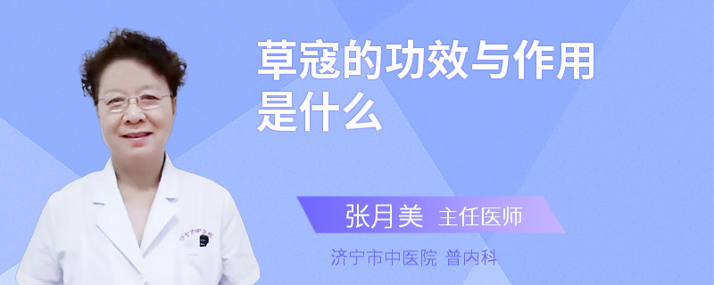 草寇的功效与作用是什么