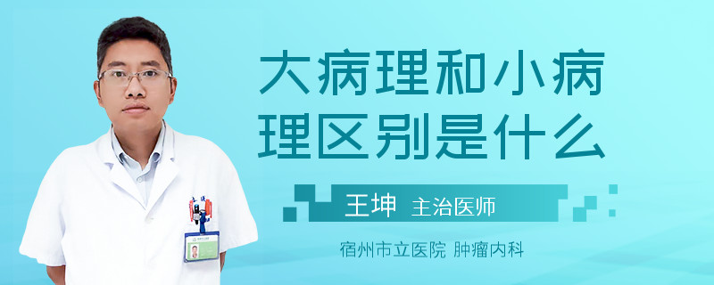 大病理和小病理区别是什么