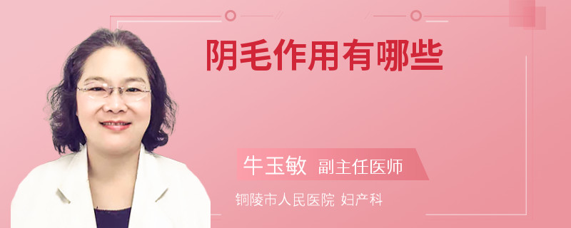 阴毛作用有哪些