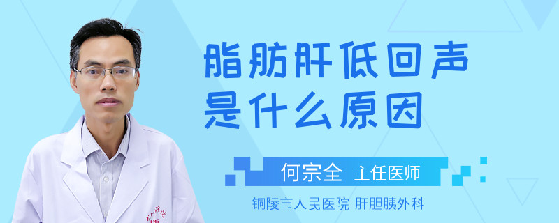 脂肪肝低回声是什么原因