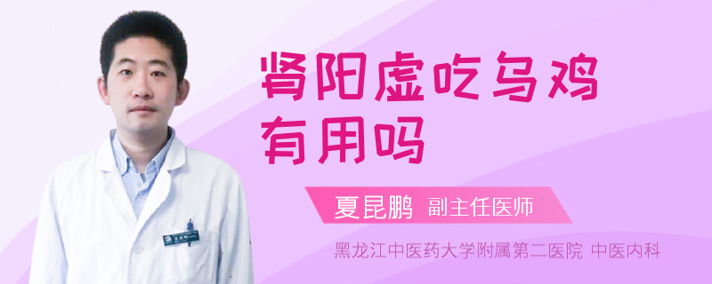 肾阳虚吃乌鸡有用吗