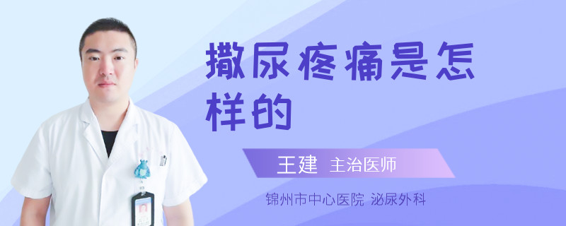 撒尿疼痛是怎样的