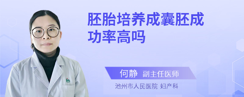 胚胎培养成囊胚成功率高吗