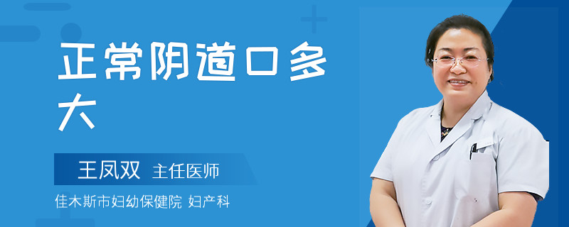 正常阴道口多大