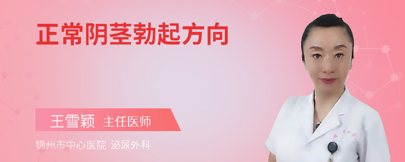 正常阴茎勃起方向