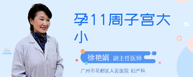 孕11周子宫大小