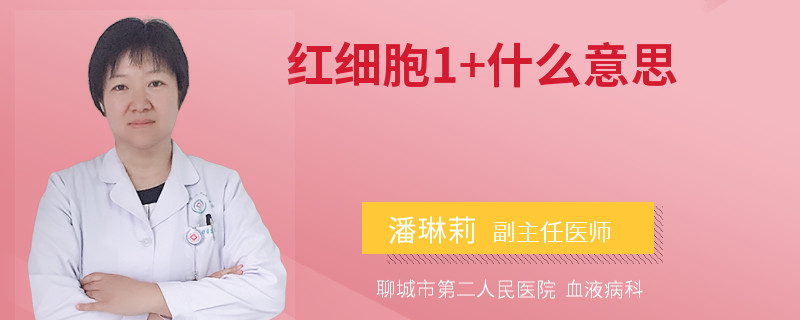 红细胞1+什么意思