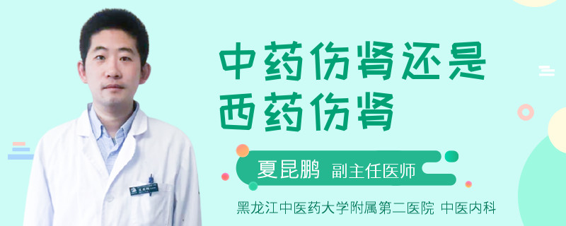 中药伤肾还是西药伤肾