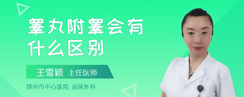 睾丸附睾会有什么区别