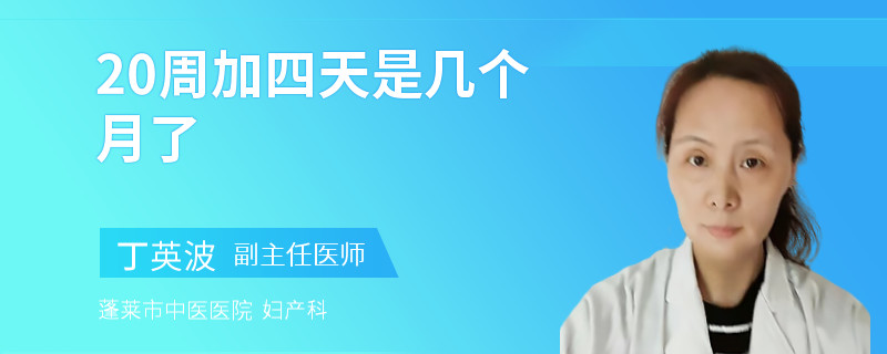 20周加四天是几个月了
