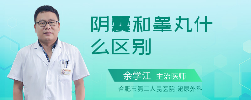 阴囊和睾丸什么区别