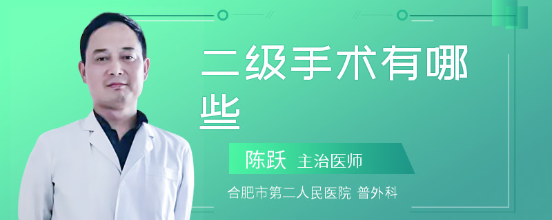 二级手术有哪些