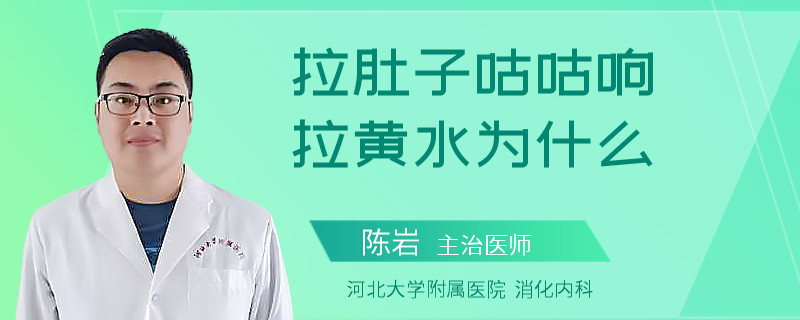 拉肚子咕咕响 拉黄水为什么