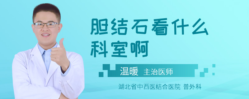胆结石看什么科室啊