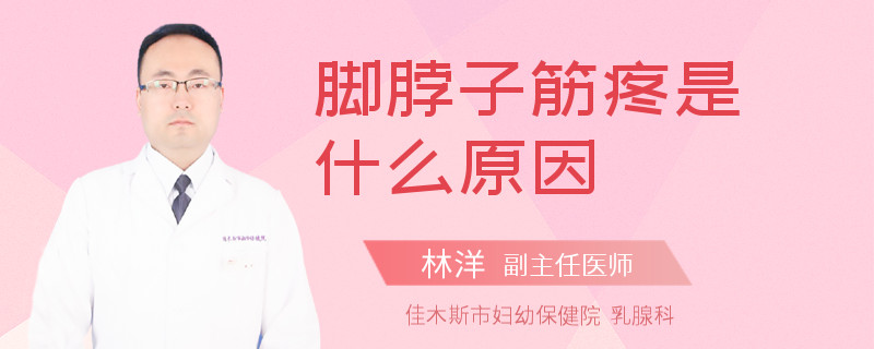 脚脖子筋疼是什么原因