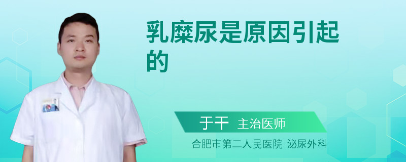 乳糜尿是原因引起的