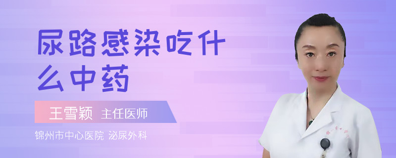 尿路感染吃什么中药