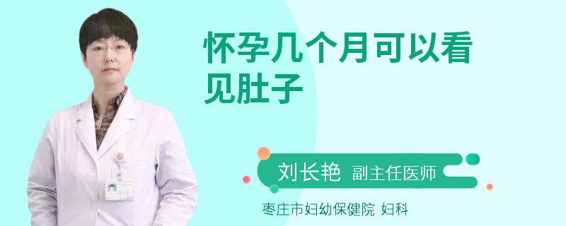 怀孕几个月可以看见肚子