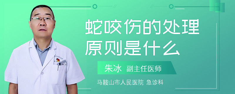 蛇咬伤的处理原则是什么