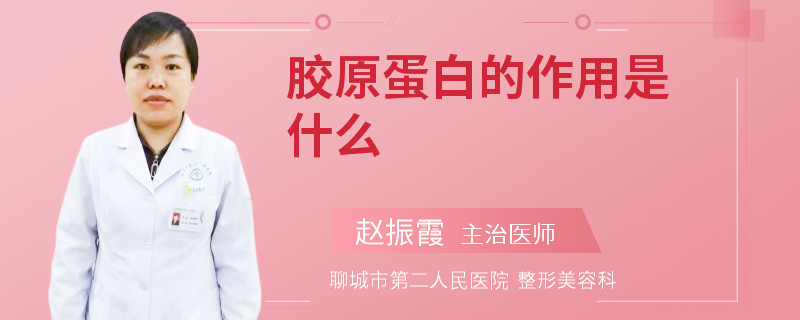 胶原蛋白的作用是什么