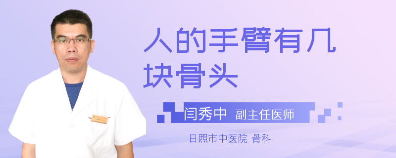 人的手臂有几块骨头