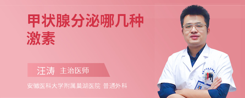 甲状腺分泌哪几种激素