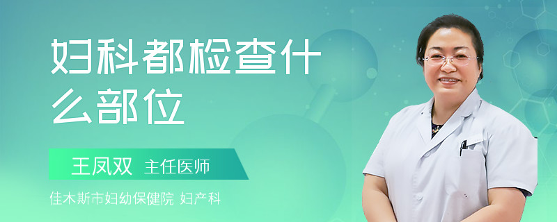 妇科都检查什么部位