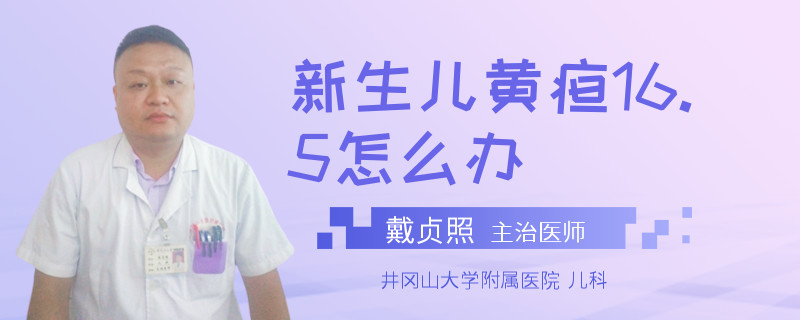 新生儿黄疸16.5怎么办