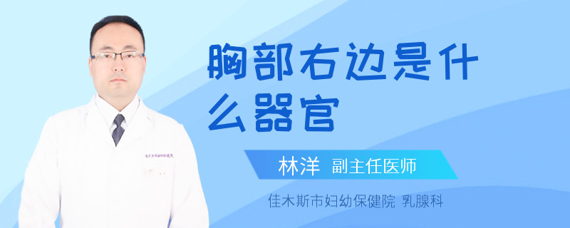 胸部右边是什么器官