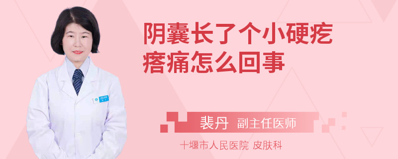 阴囊长了个小硬疙瘩痛怎么回事