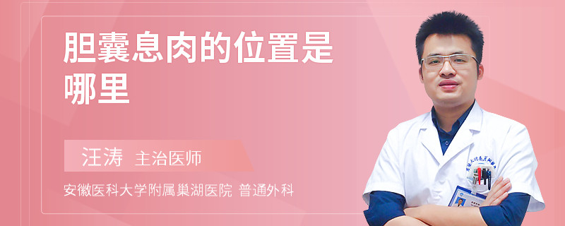 胆囊息肉的位置是哪里